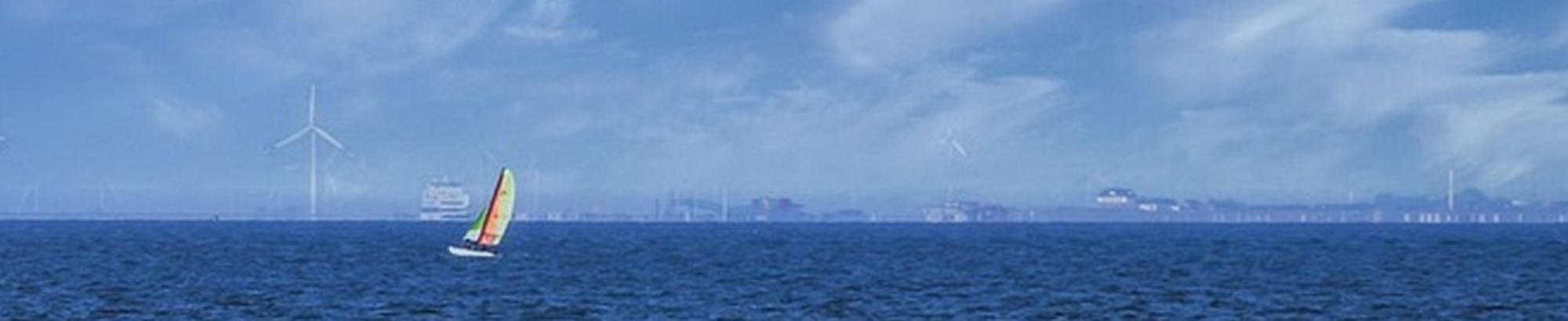 Banner_1
